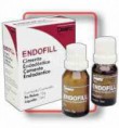  Endofill Dentsply